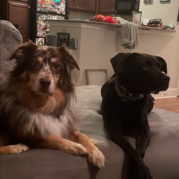 Meet your Posher, Laura - Picture 3 of 11